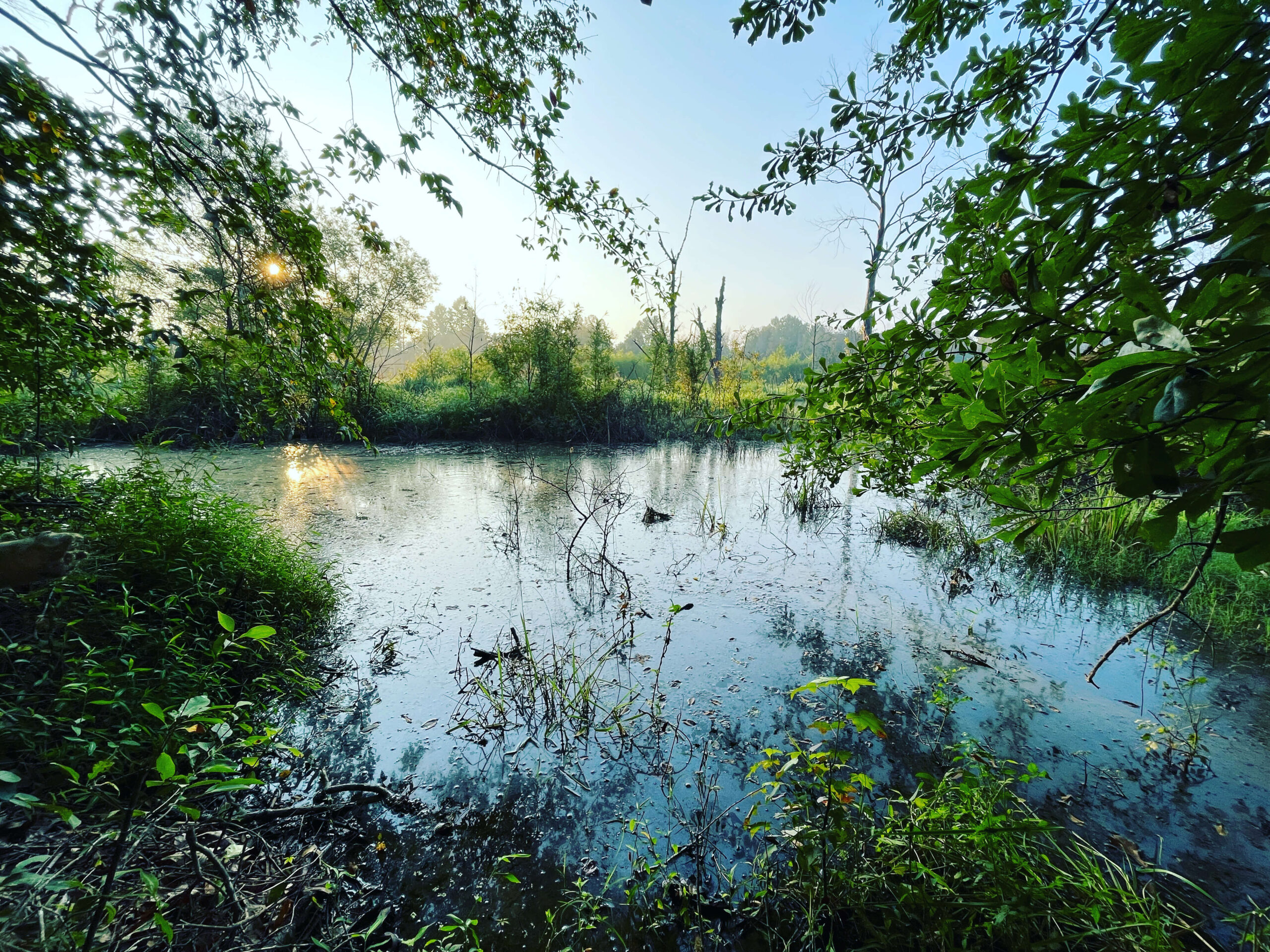 Environmental team takes on more than 750 acres to assess a potential mitigation bank in west Tennessee