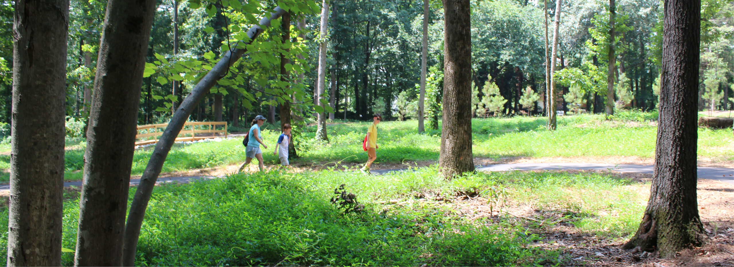 Oak Road Park Opens Feature Image