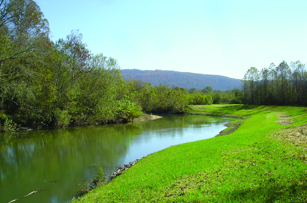 Jof Mehaffey, Environmental (Building Communities) - Goodwyn Mills Cawood